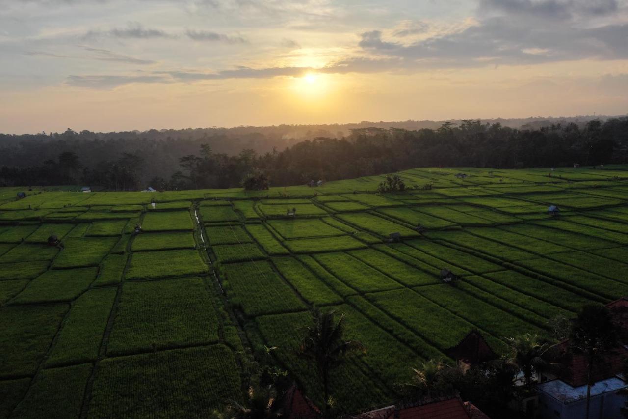 The Joglo At Umah Sunset Villa Ubud Buitenkant foto